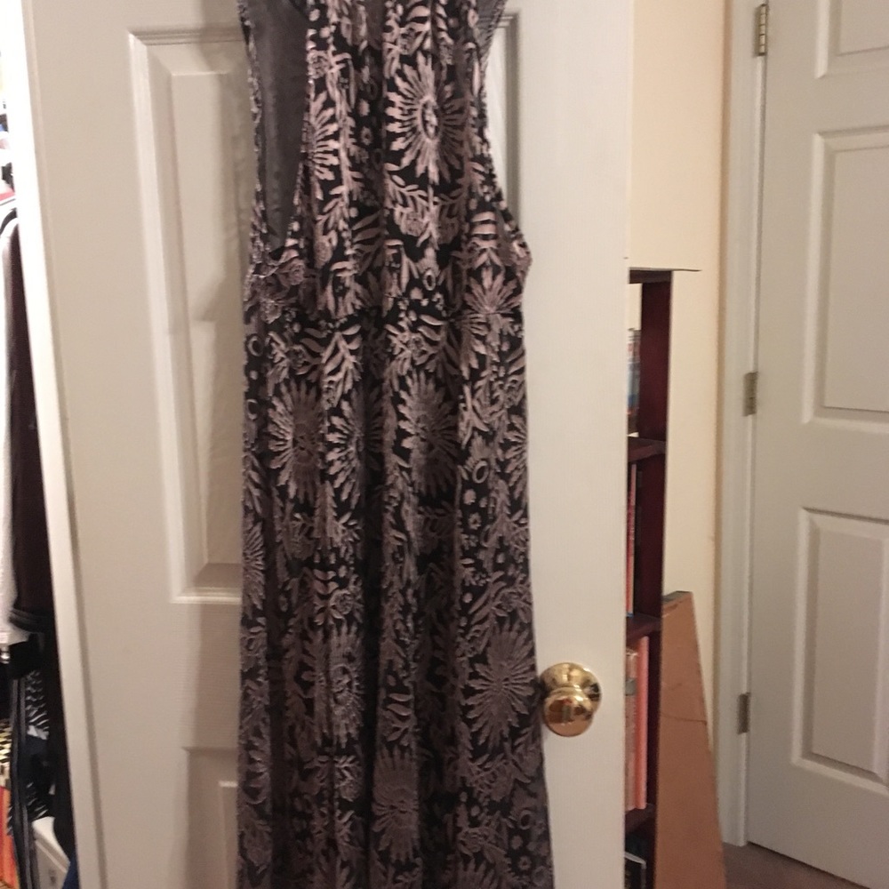 Free people sheer gown.